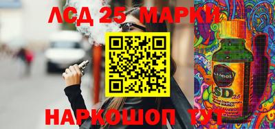индика Обь
