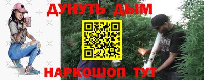 индика Обь